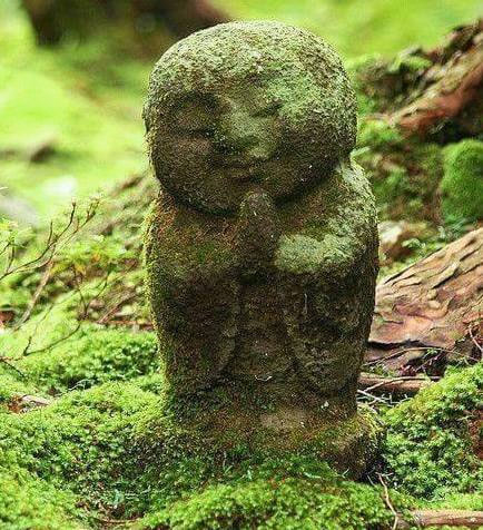 mossy green Buddha